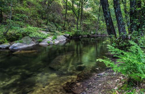 Apartamentos Turísticos Huerto El Horno - Foto 63
