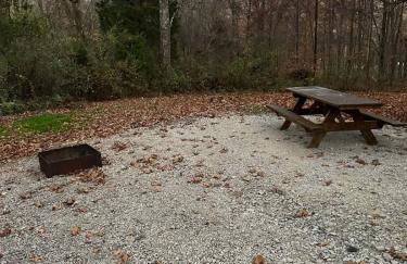 Deluxe Cabin #11 with Hot Tub on Patoka Lake in Southern Indiana - Foto 7