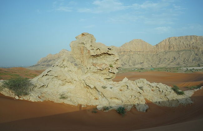 Dune Buggy e cena privata tra le dune del Parco Nazionale di Mleiha - Foto 8