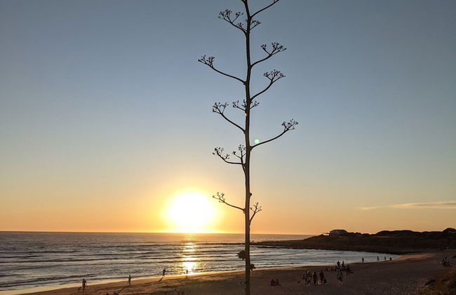 Villa Malyma Zahora - Beach Front Sea View - Foto 69