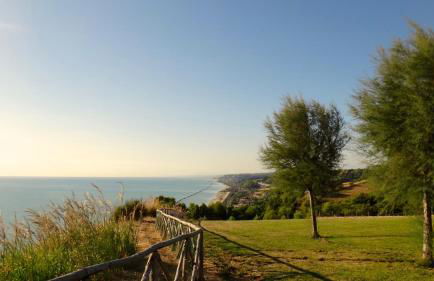 CONTEA DEI CILIEGI (official) - Foto 14