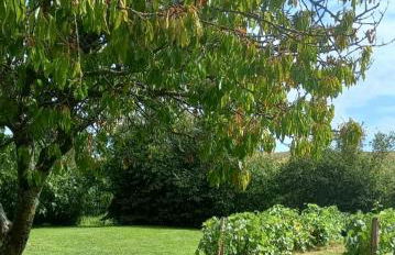 La Commanderie Grand Gite 10kms " Puy duFou" - Foto 12