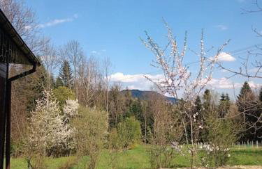 Drewniany domek na wynajem Beskid Wyspowy - Photo 9