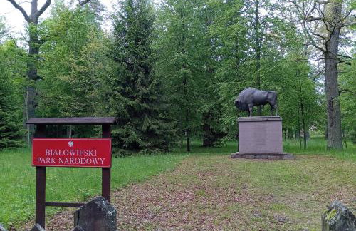 Dom na wsi u Kasi HAJNÓWKA BIAŁOWIEŻA NA WYŁĄCZNOŚĆ - Foto 14