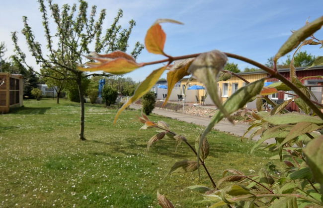 Wunderschoene Ferienwohnung mit Garten - Foto 16