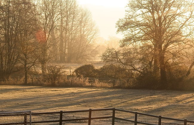 The Apartments Quidhampton Mill - Photo 13