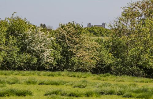 Danby Cottage - Photo 44