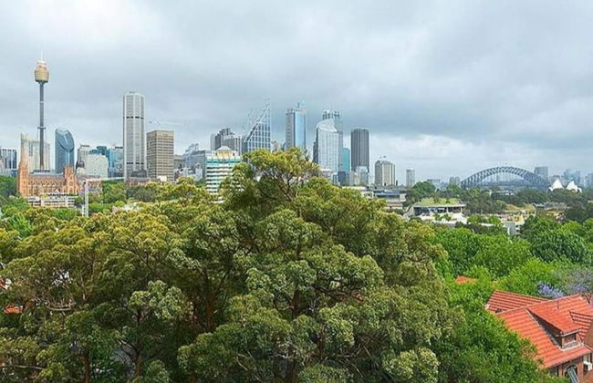 Designer Pad With a View - Photo 13