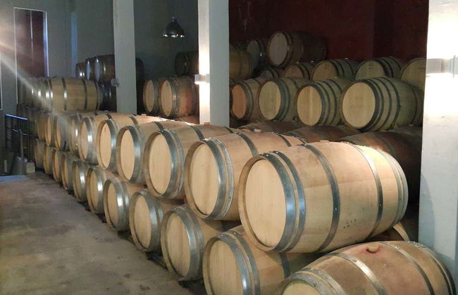 Excursión al Vale dos Vinhedos - Foto 7