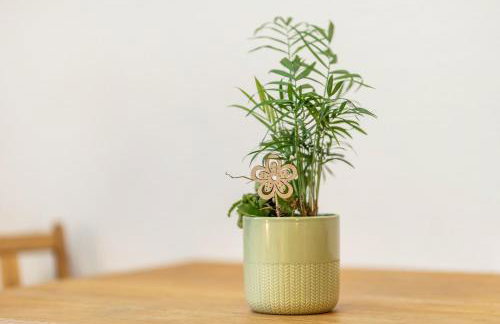 Apartment zur alten Post - Foto 4