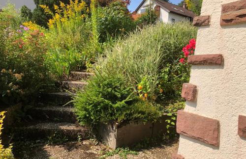 Haus Hubertus - Photo 15