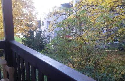 Gemütliche Wohnung mit Balkon - Südplatz nur 2 Minuten entfernt - Foto 10