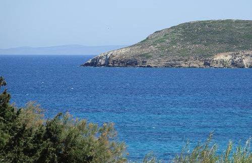 Flora Apartments - Photo 39