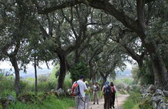 Casa de l Bárrio - Foto 44