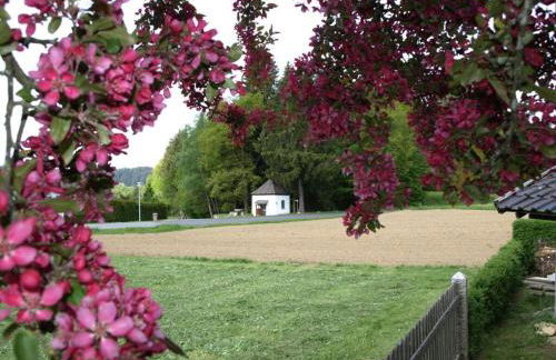 Nice Apartment in Piedmont - Foto 64