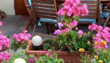 Στουντιο στο Πανοραμα - Foto 1