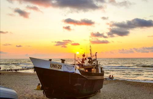 Domki Kaktus - Foto 39