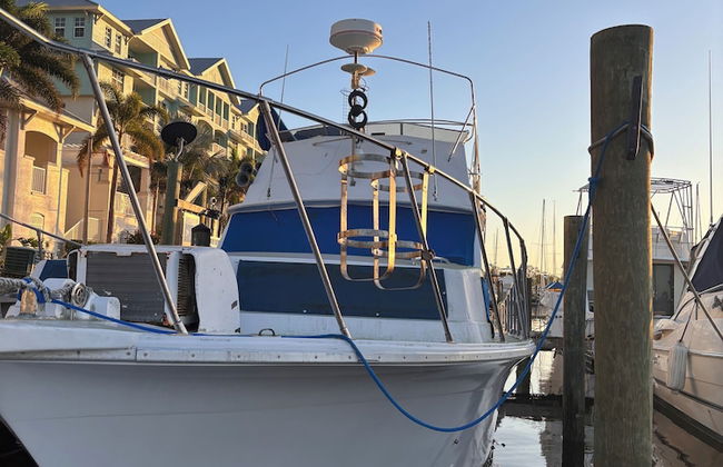 Last Hoorah - Foto 11