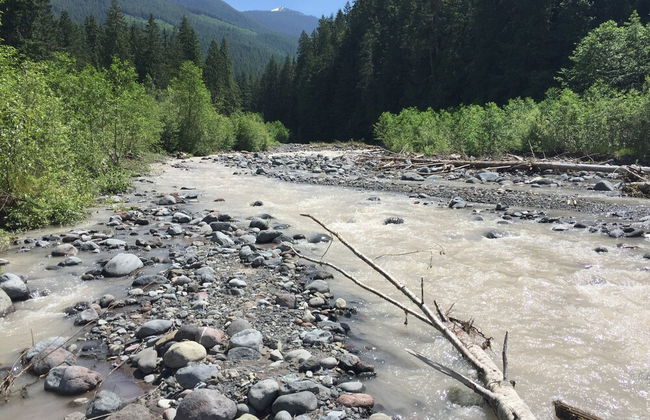 53MBR - Hot Tub - Wi-Fi - Sleeps 6 - Foto 18