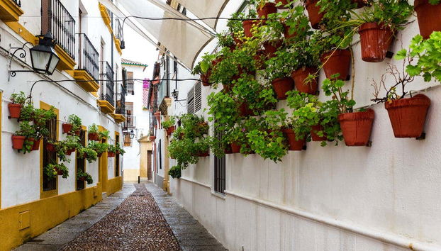 Córdoba Day Trip - Foto 4