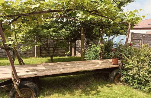 Casa Aurea - Photo 18