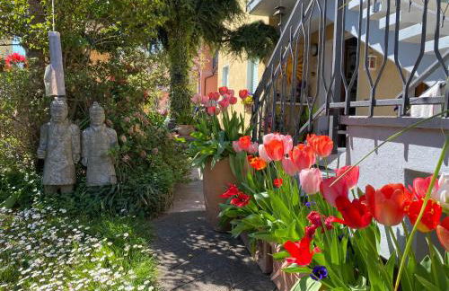 CLUA Holiday House - Photo 23