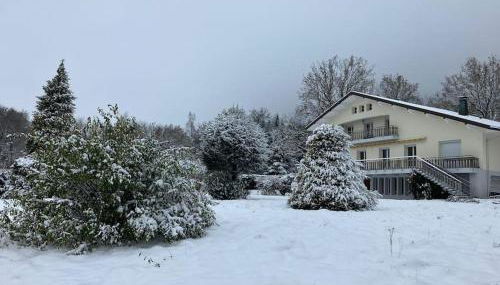 Gîte 15 personnes Sauna et Spa - Foto 4