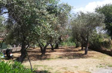 Anestis Studios - Foto 55