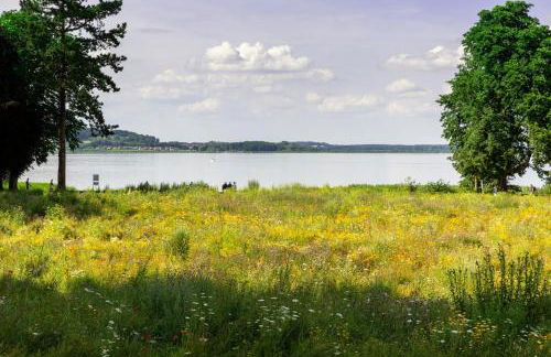 Haus an der Peene - Foto 16