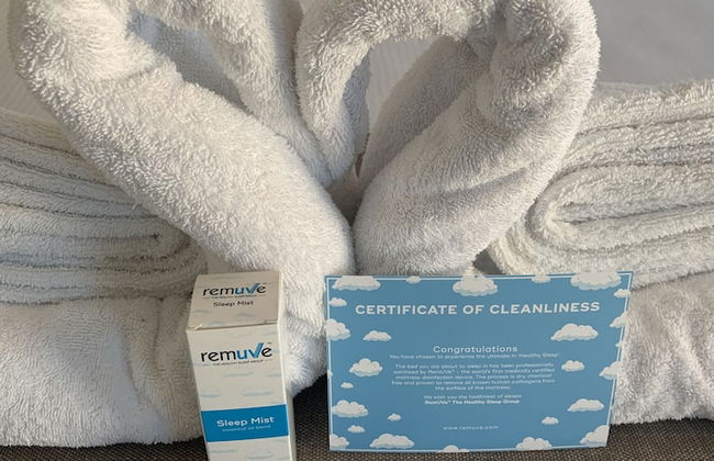 Evolution Apartments - Photo 18