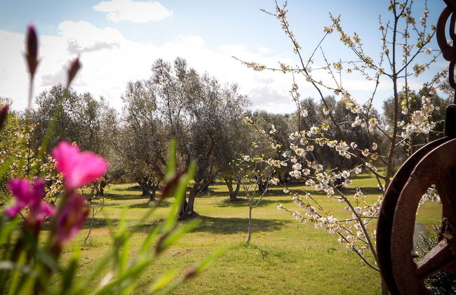 Agriturismo San Matteo - Foto 49