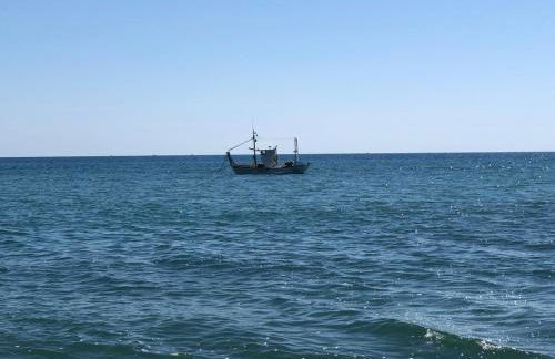 La Cala Beach Home - beachfront few steps away from sandy beach - Photo 69