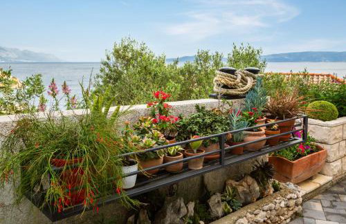 Seaside Apartment Kamelia - Photo 51