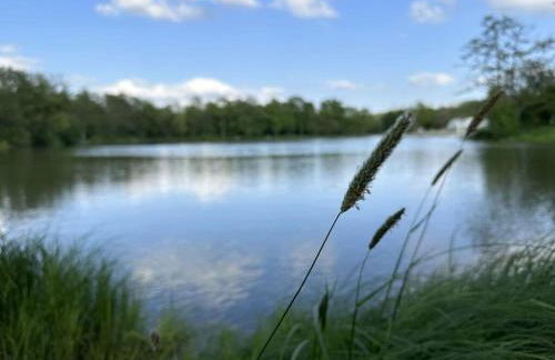 holiday home in the Franconian Forest - Foto 25