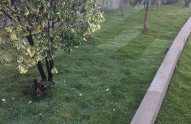 Villa in Sintra - Casa da Penha Ferrim - Foto 29