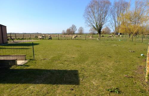 Maison au pied du Mont Saint Michel - Foto 9