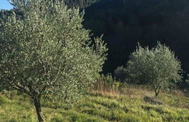 Casale in Val D Orcia - Photo 26