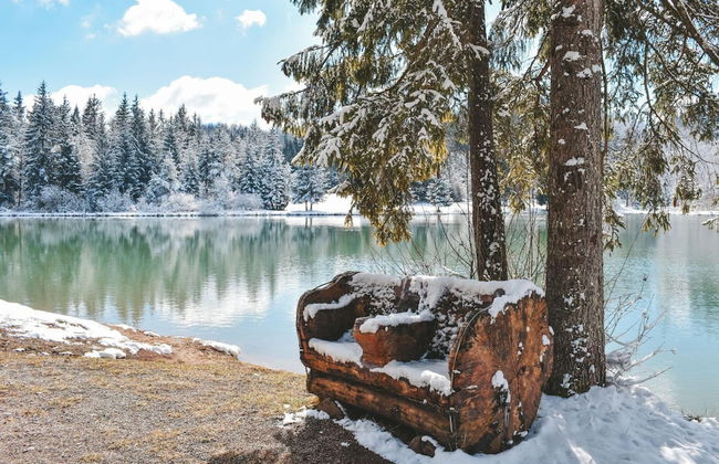 Family Friendly Kra Evec Lodge - Foto 33