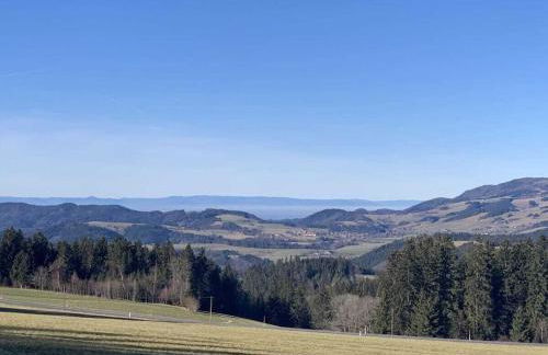 on the Willmann farm - Foto 15