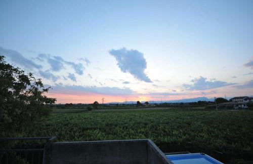 Agriturismo Corte Albarel - Foto 12