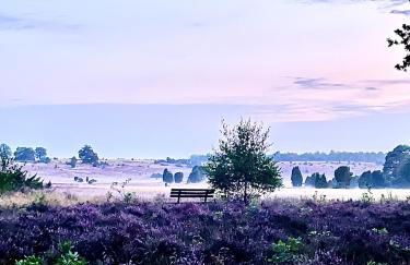 BigOak Wintermoor Schneverdingen - Foto 19