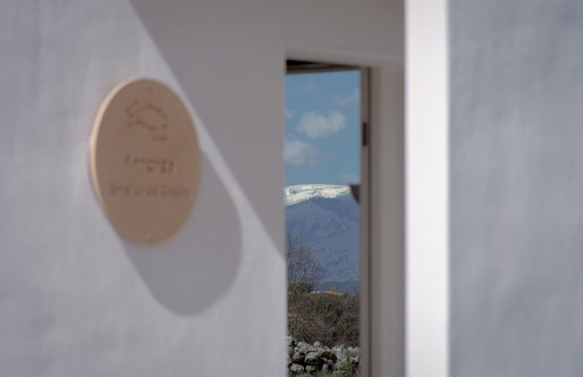 Estrellas de Gredos - Foto 20