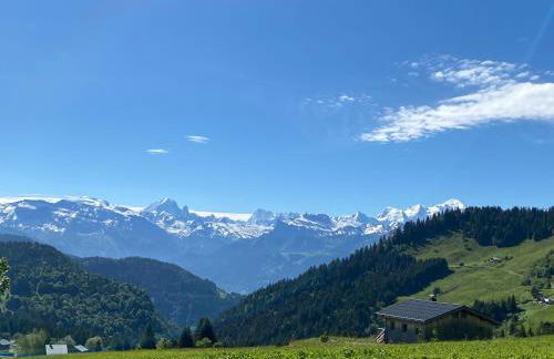 Appartement pied des pistes - Foto 14