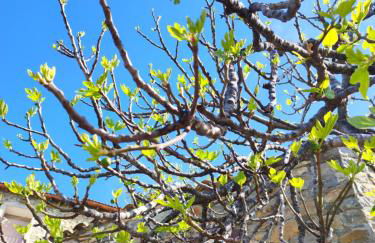 Casa Escola - Foto 36