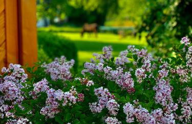 Ferienhaus Norddeichkieker -Nähe Büsum - Foto 26