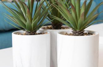 Ag Eden Resort - Foto 69