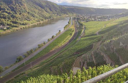 Rheinuferhaus - Foto 44