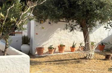 Canto da Planície - Foto 42