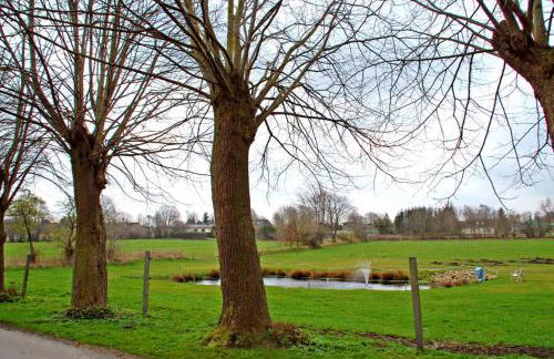 FeWo Gotthard - Photo 13