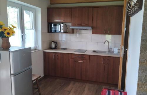 Domek Bieszczadzkie Brzegi - Foto 3